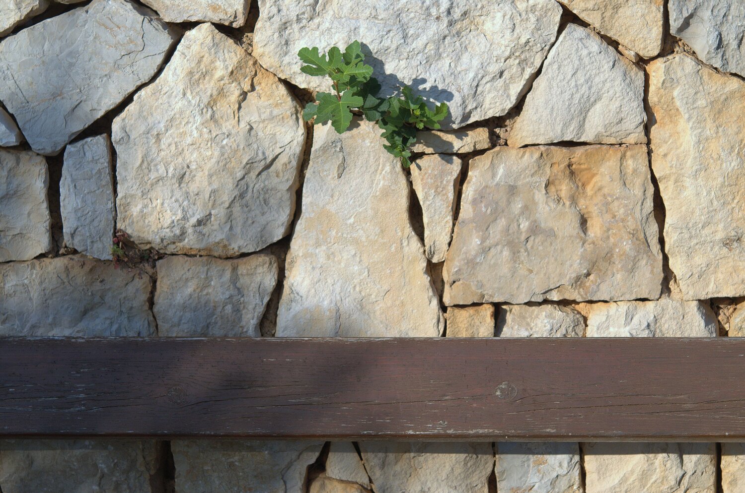 Photo #13843009