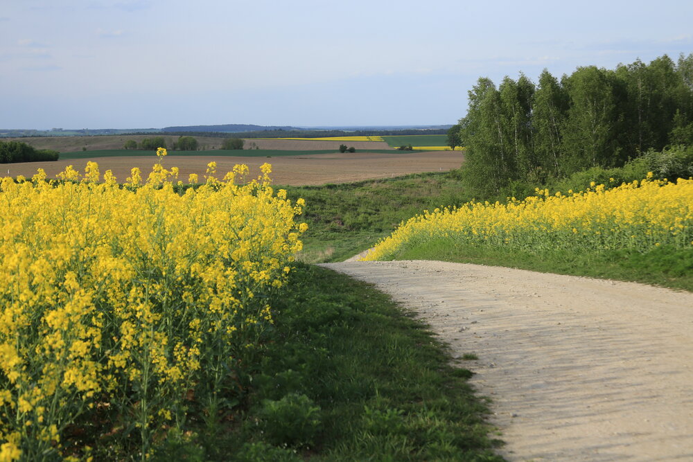 Photograph by Barbara