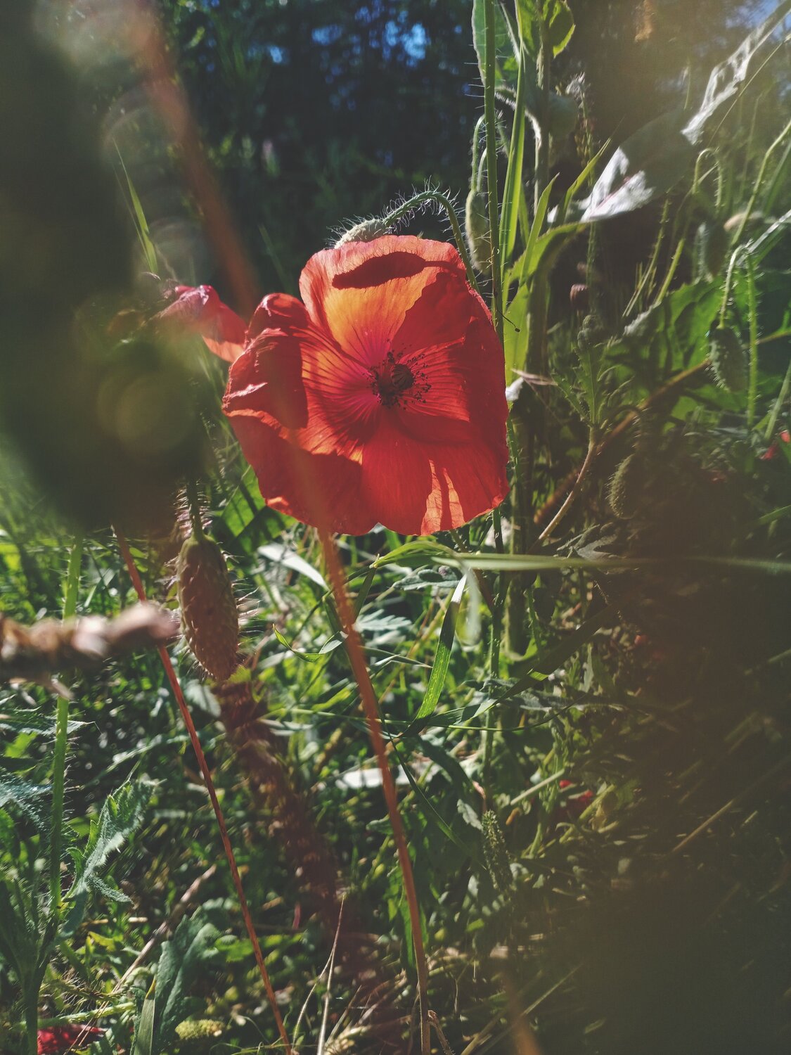 Photo #13843040