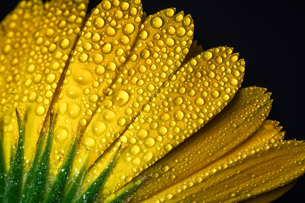 Photograph by Ozgur Roger Sayitoglu