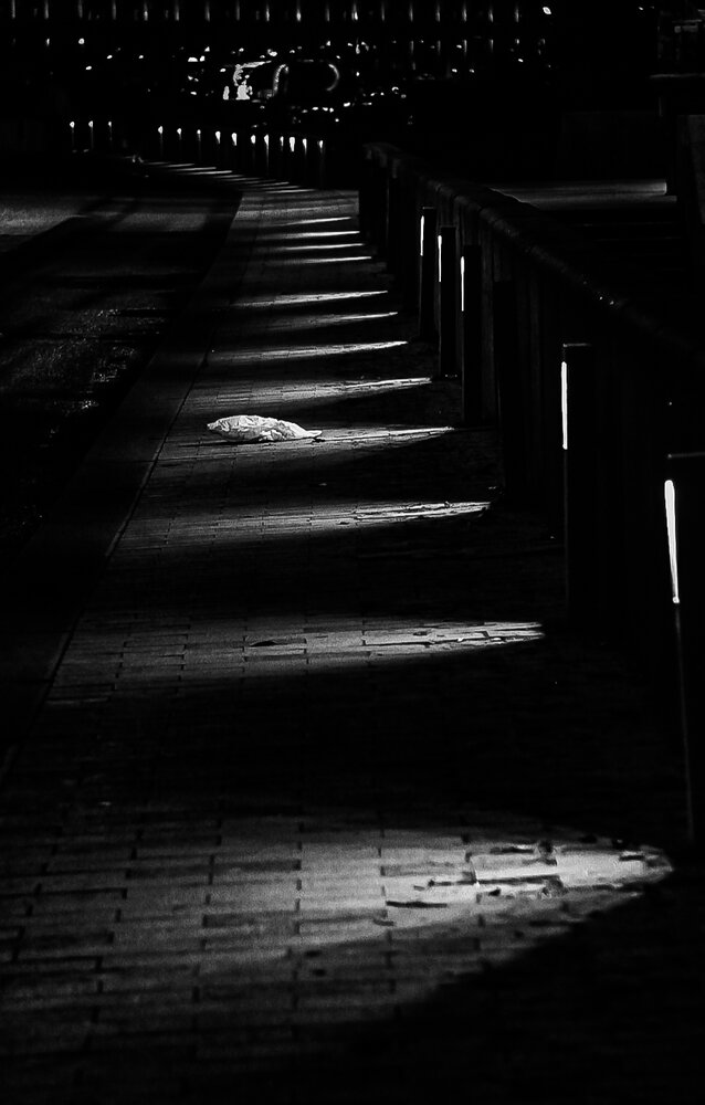 Photograph by Юлия Носкова