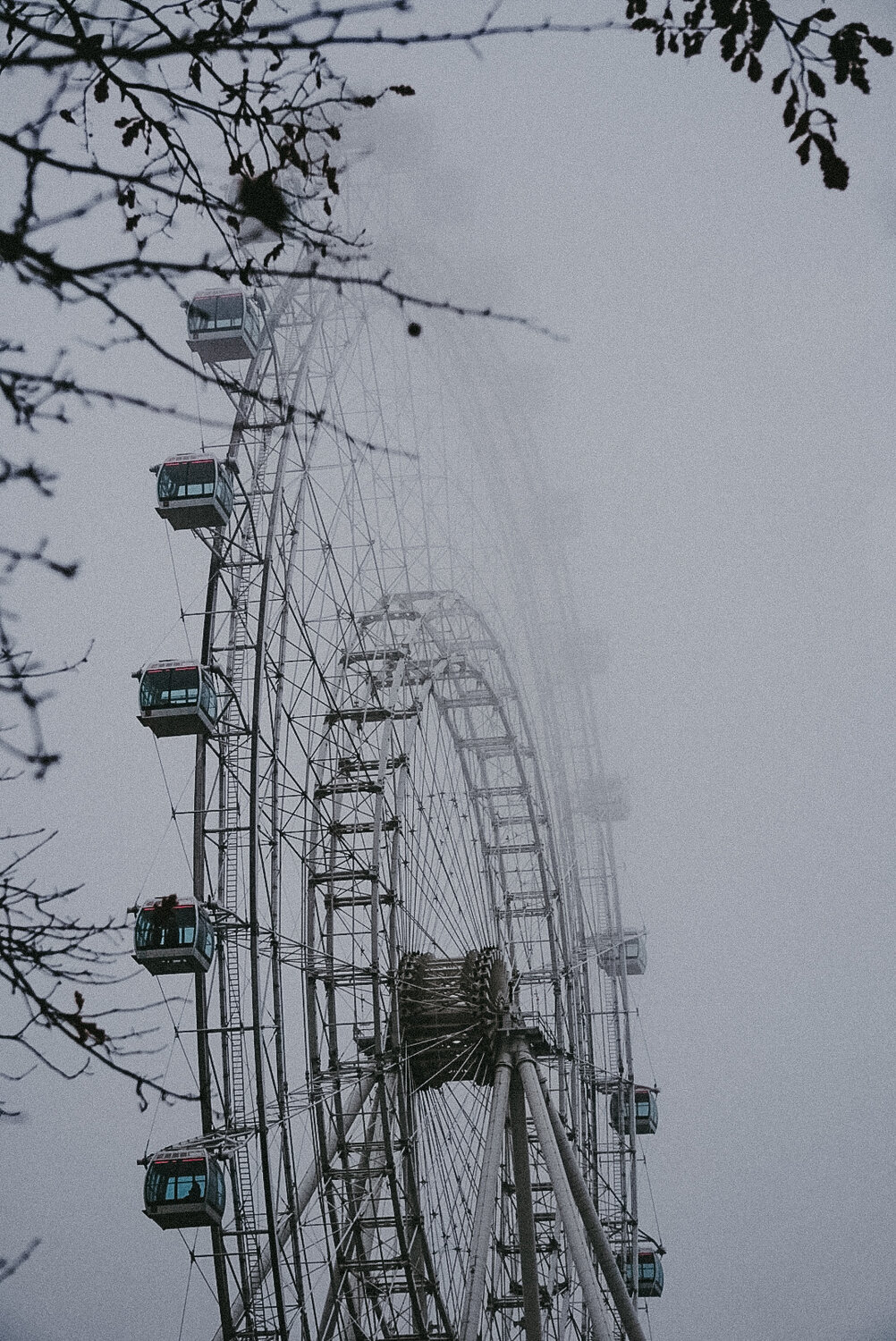 Photo #13843167