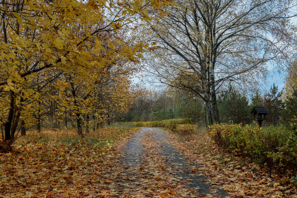 Photograph by Лидия Чугришина