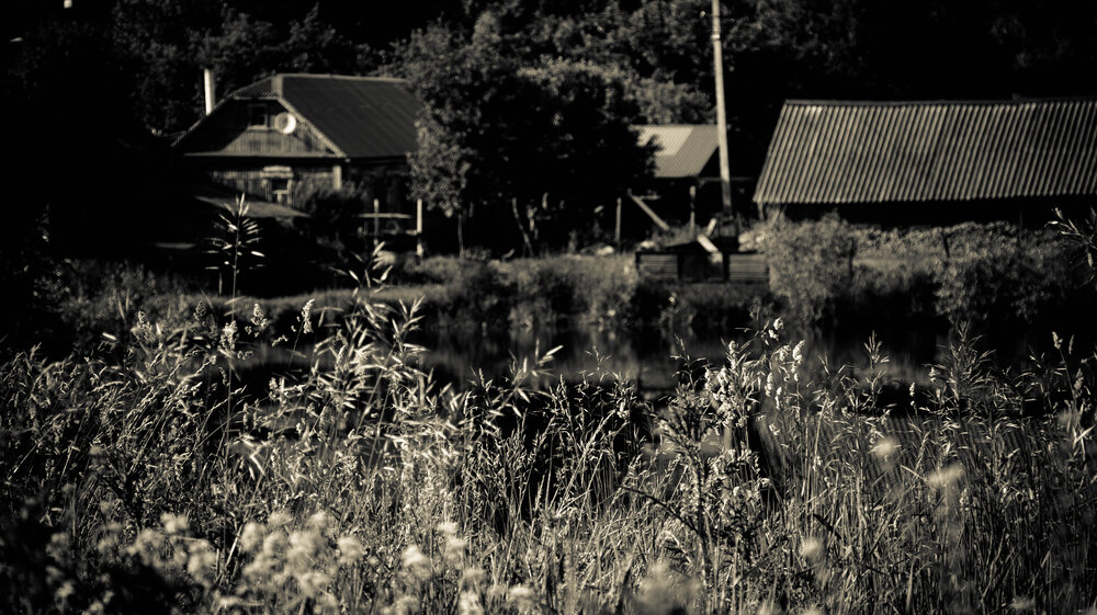 Photograph by Ксения Щукина