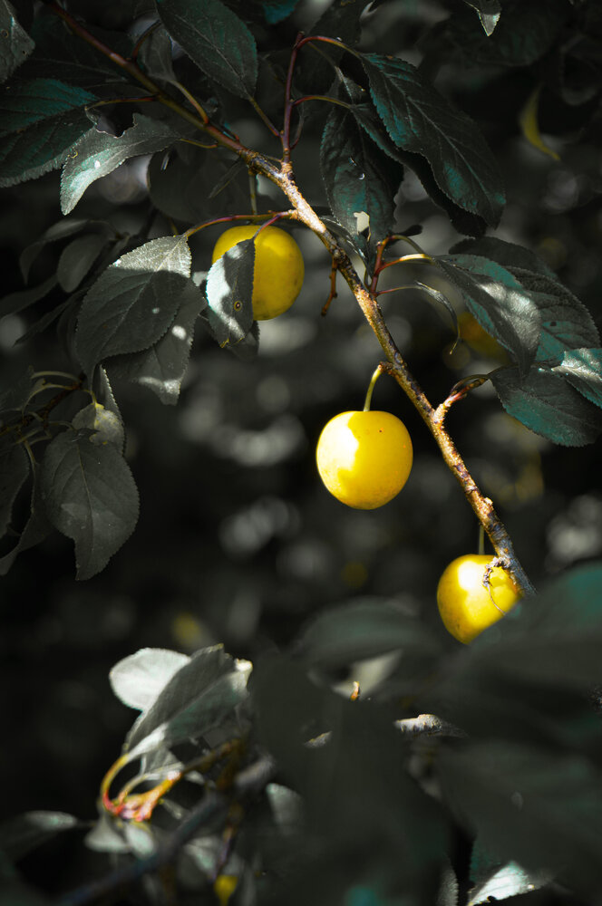 Photograph by Елизавета Ушакова