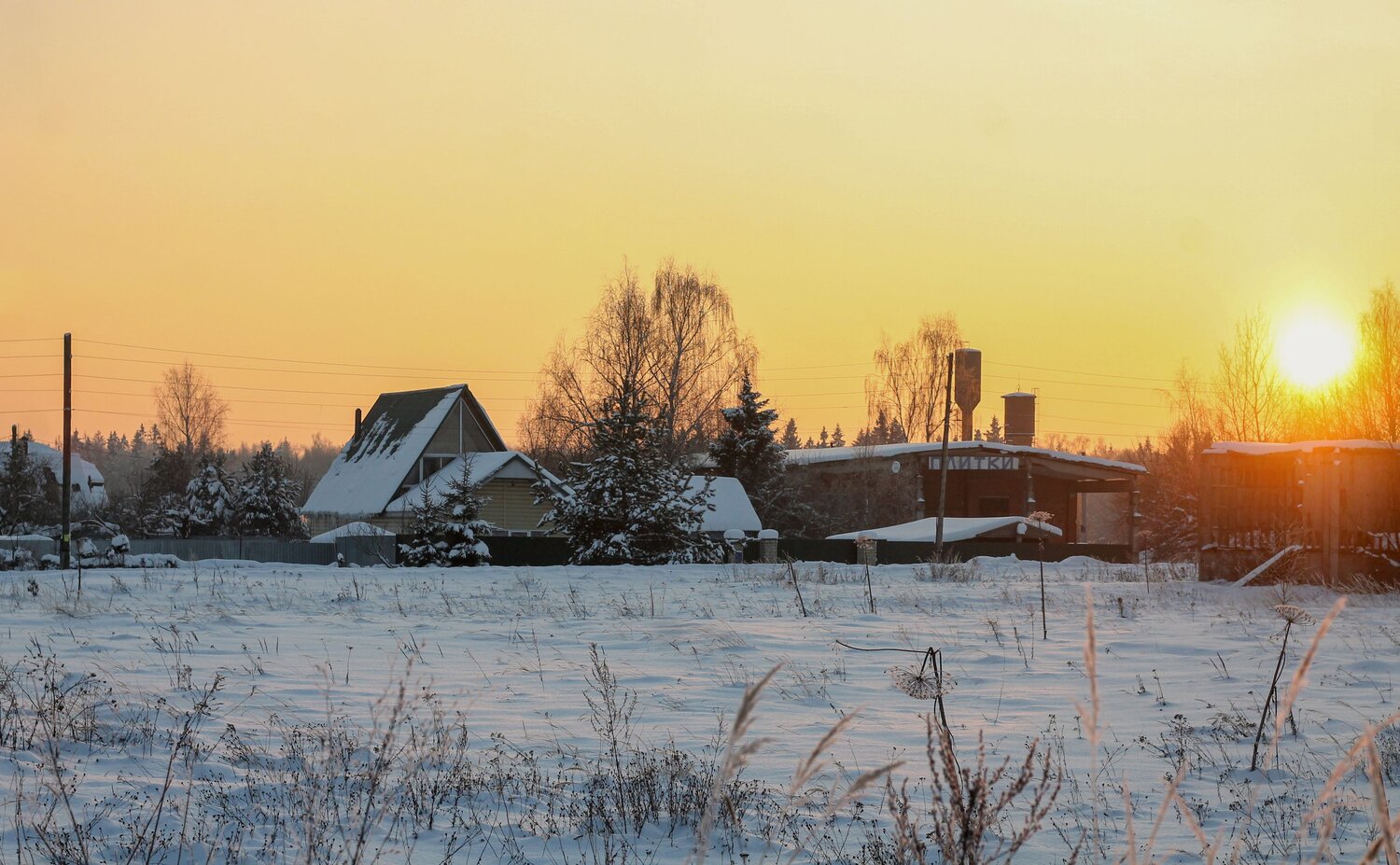 Photo #13843247