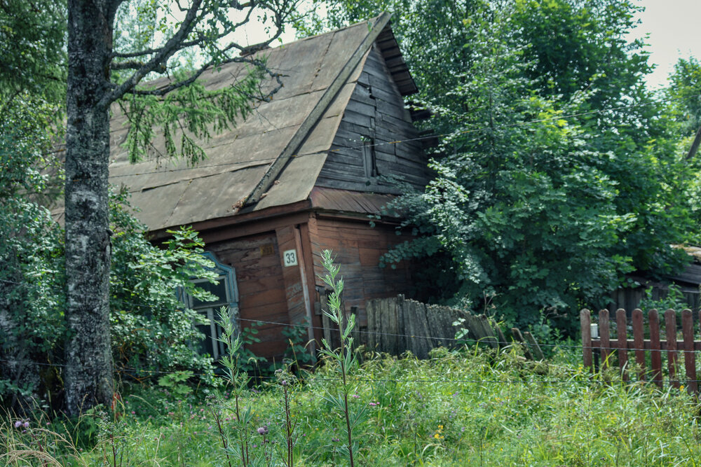 Photograph by Лидия Чугришина