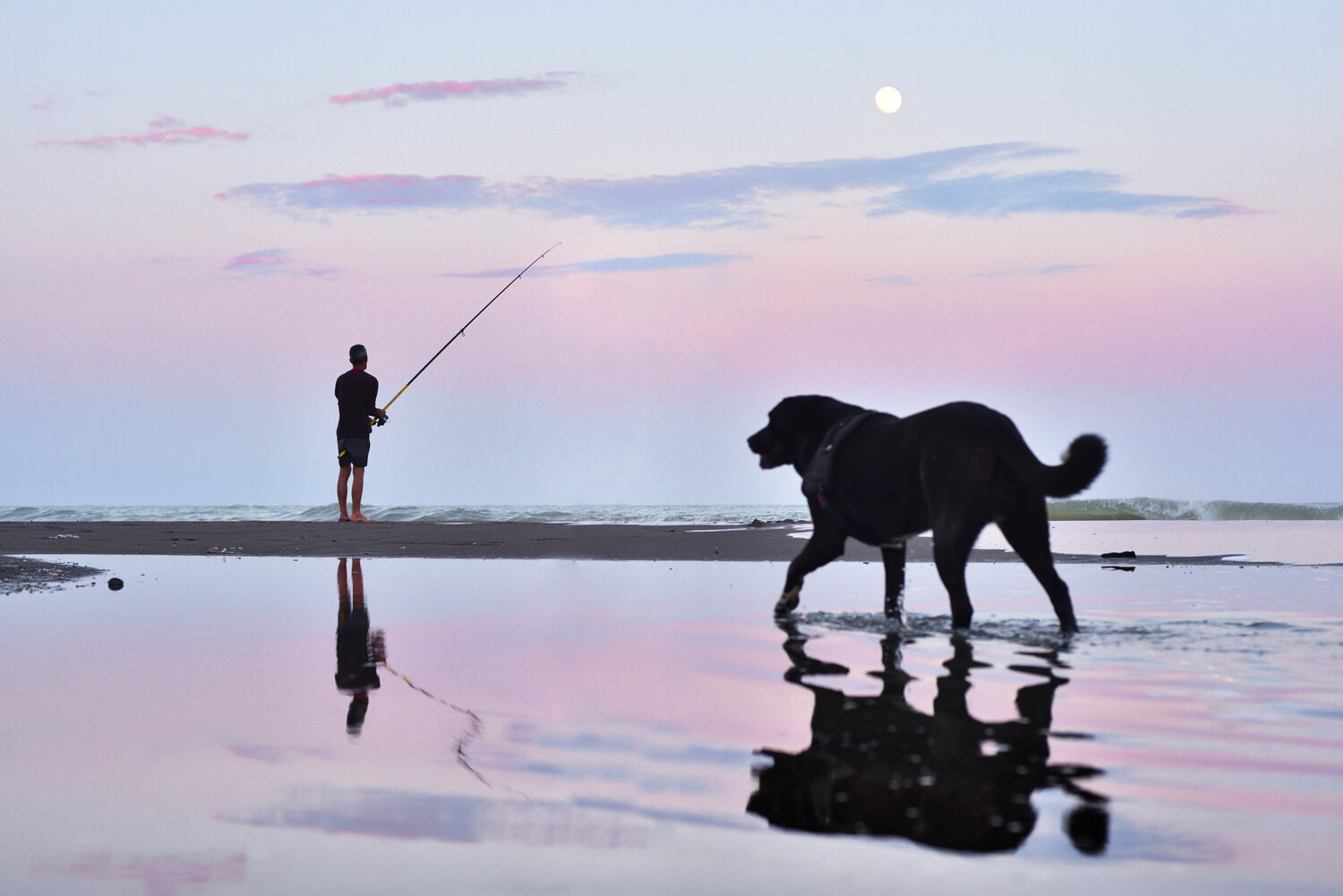 Photo #13843304