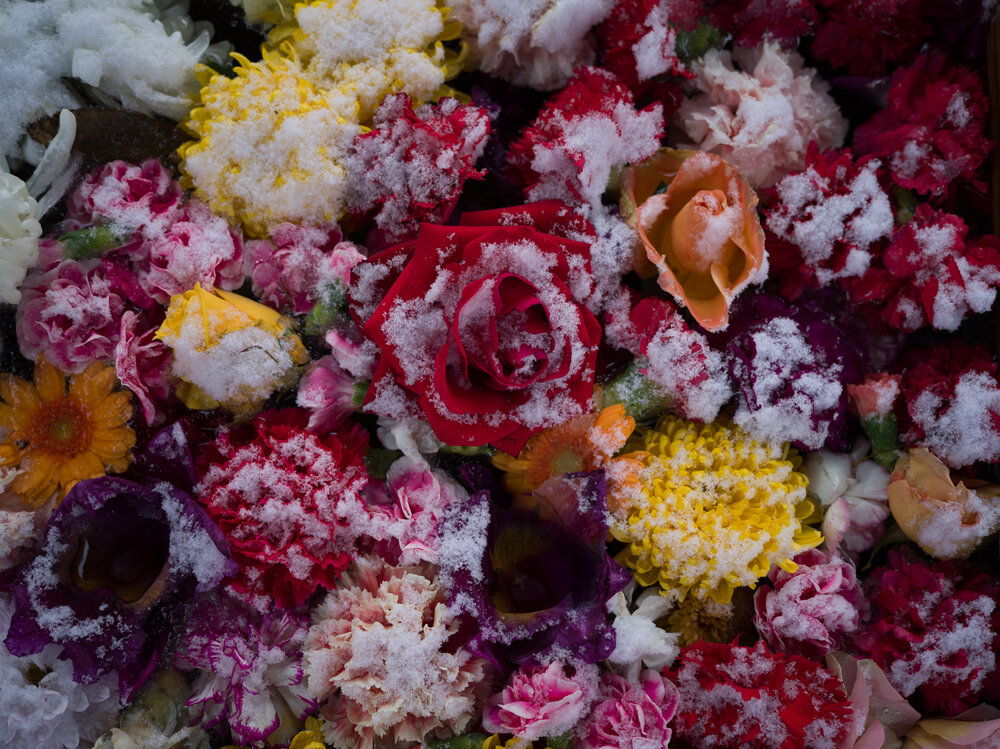 Photograph by KOBAYASHI KENJI