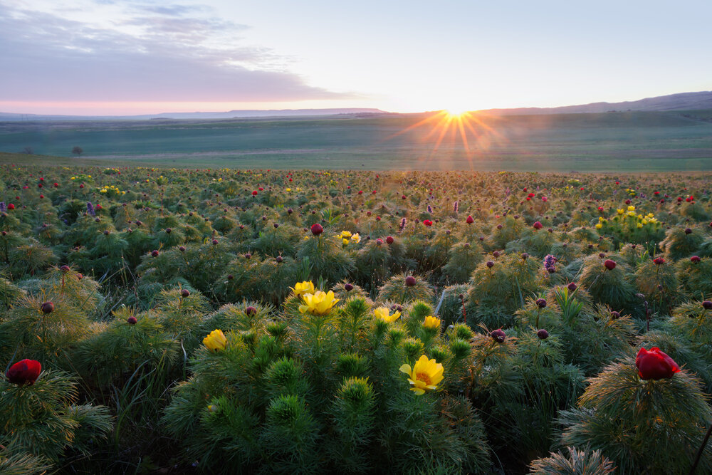 Photograph by Мария Казакова