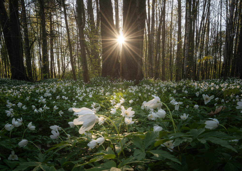 Photograph by Ivan Glinskiy