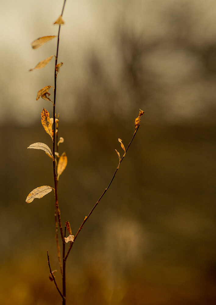 Photograph by Галина Егорова