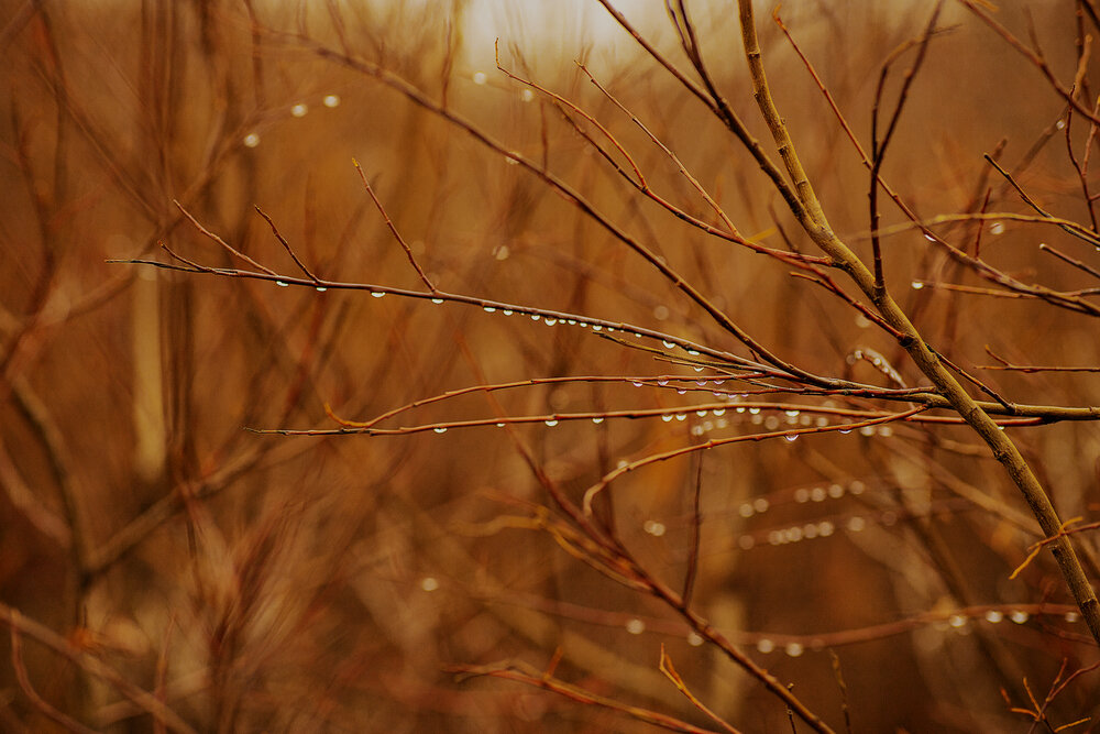 Photograph by Галина Егорова