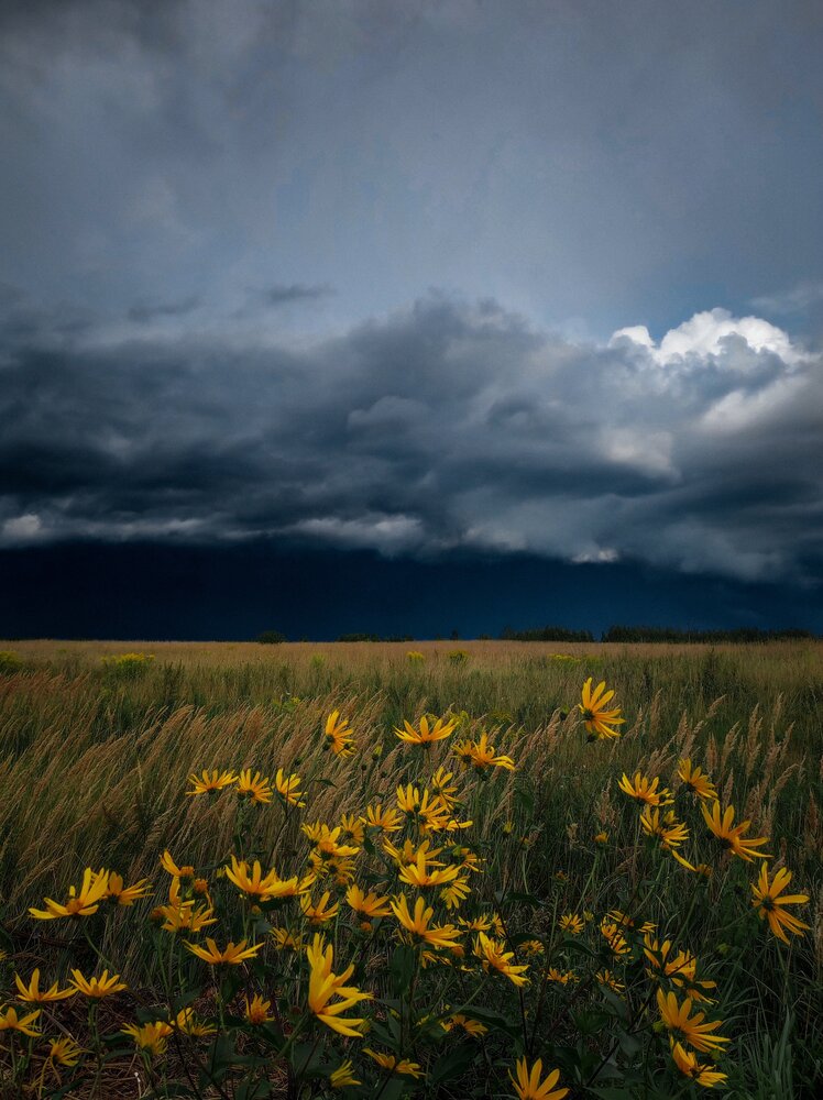 Photograph by Россоловская Евгения