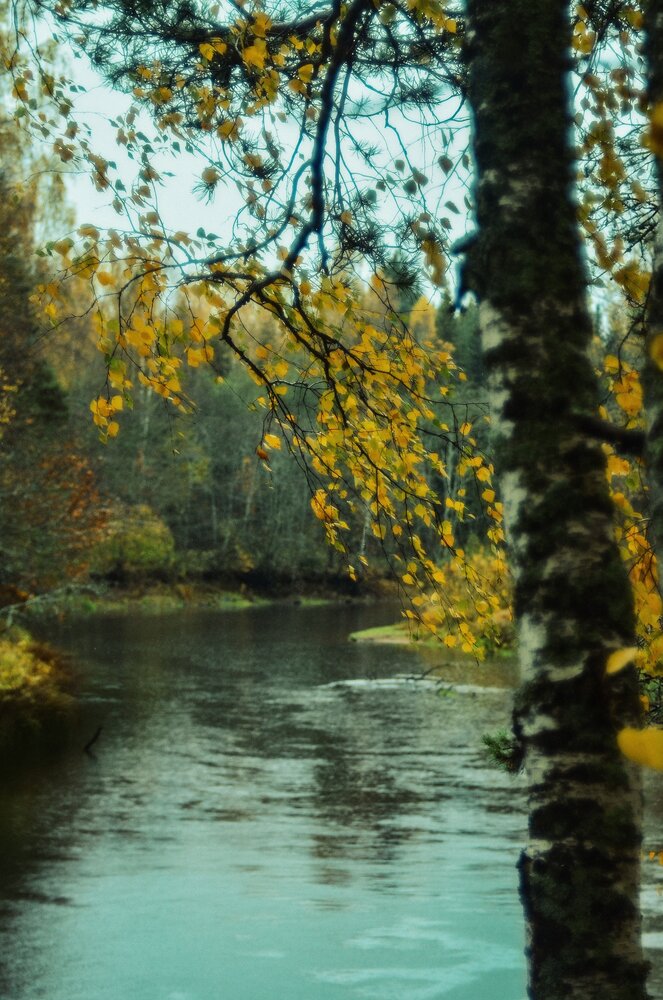Photograph by Россоловская Евгения