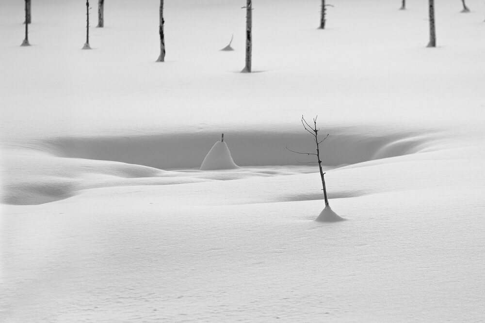 Photograph by Ольга Крицак