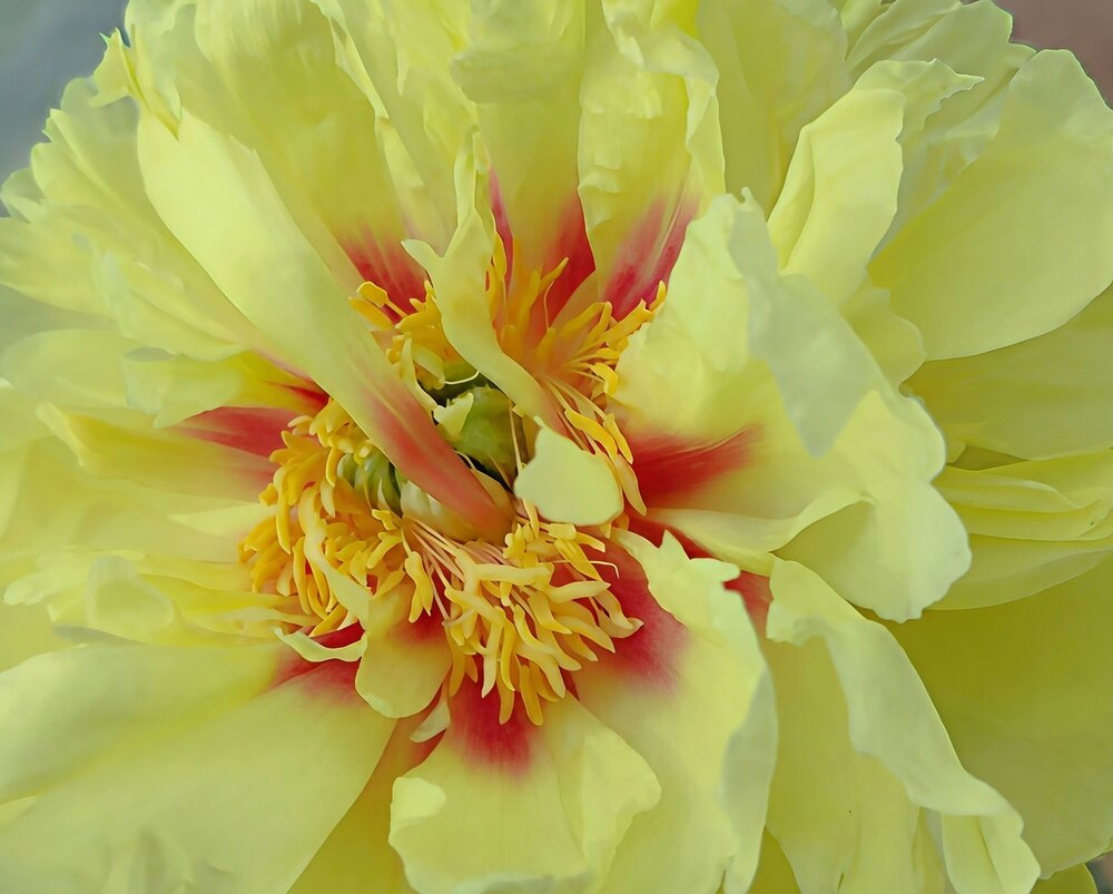 Photograph by Юлия Холомцева