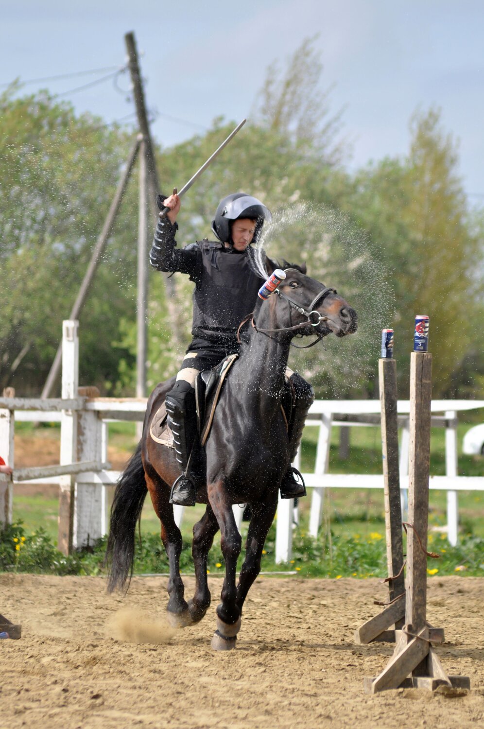 Photo #13843454