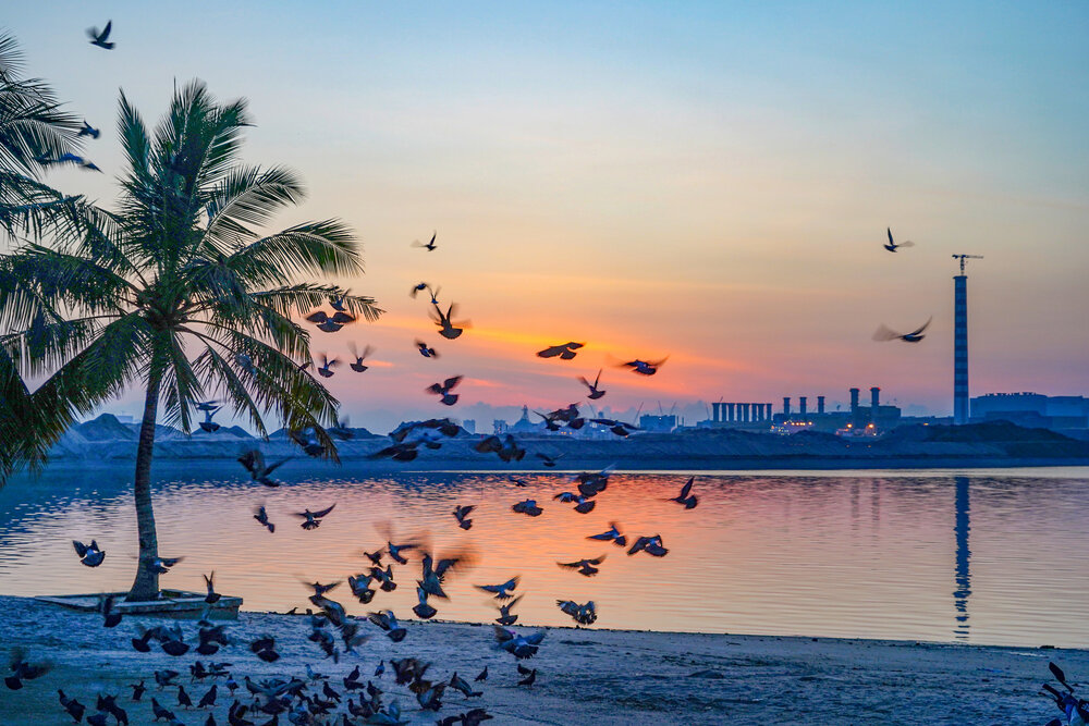 Photograph by Samuel Chan