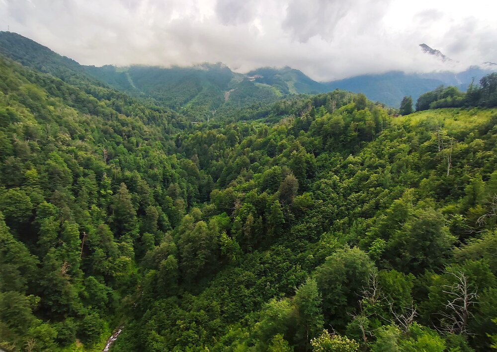 Фотография автора Василиса