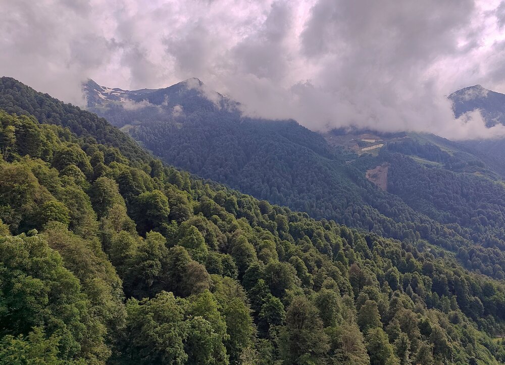Фотография автора Василиса