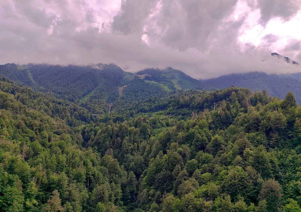 Фотография автора Василиса