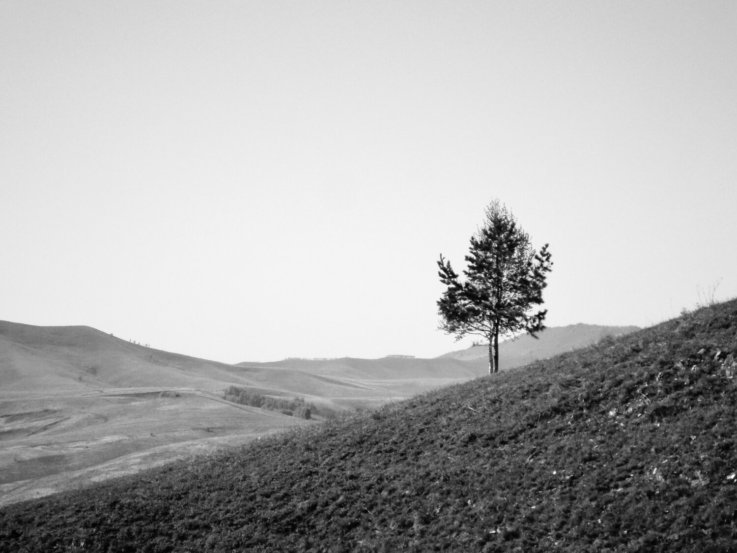 Photo #13843576