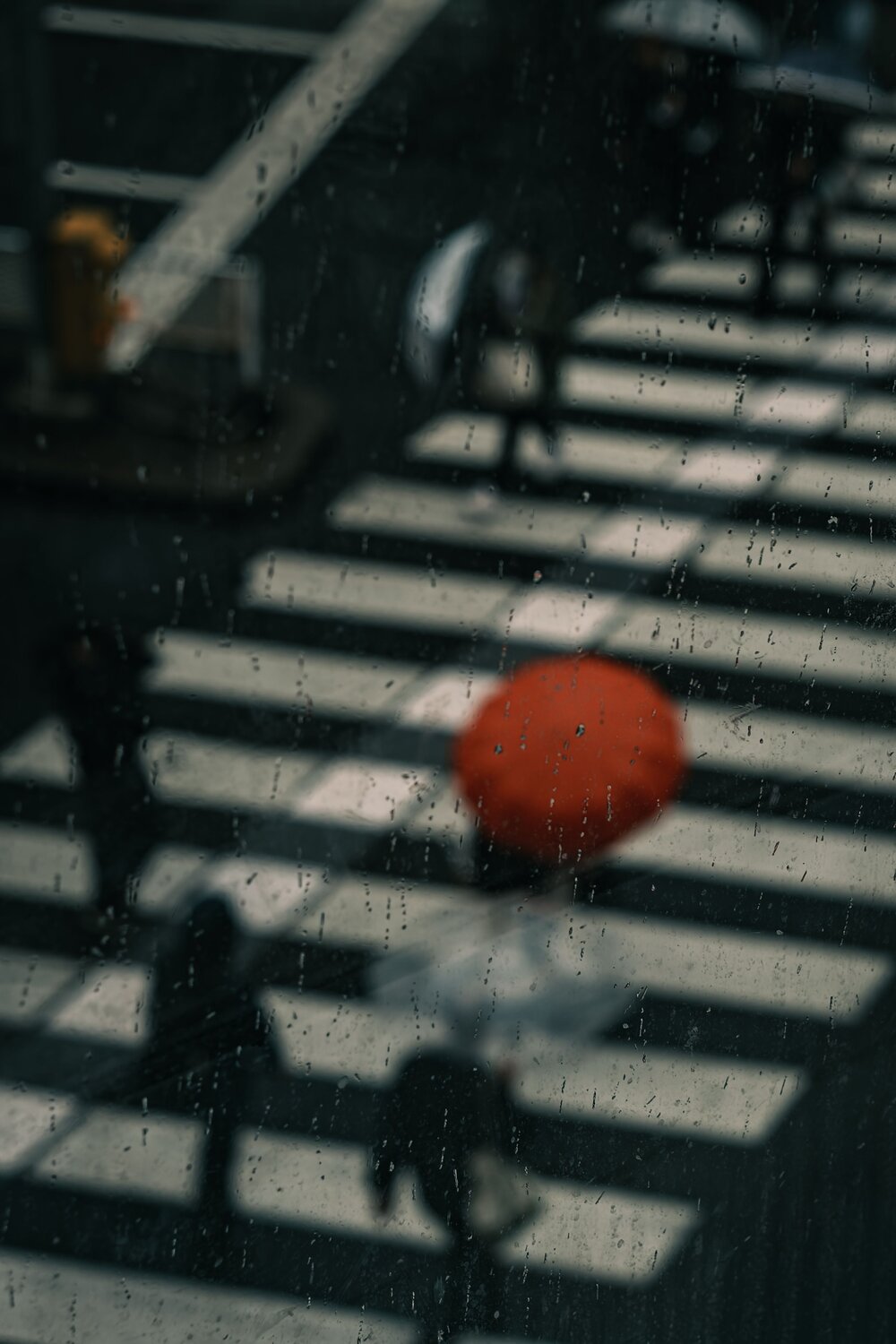 Photo #13843659