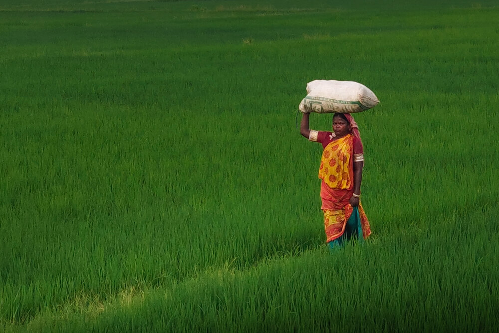 Photograph by Akash Pani