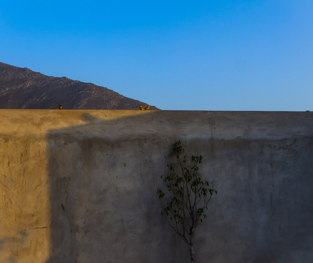 Photograph by Jorge Giol - El Caminante