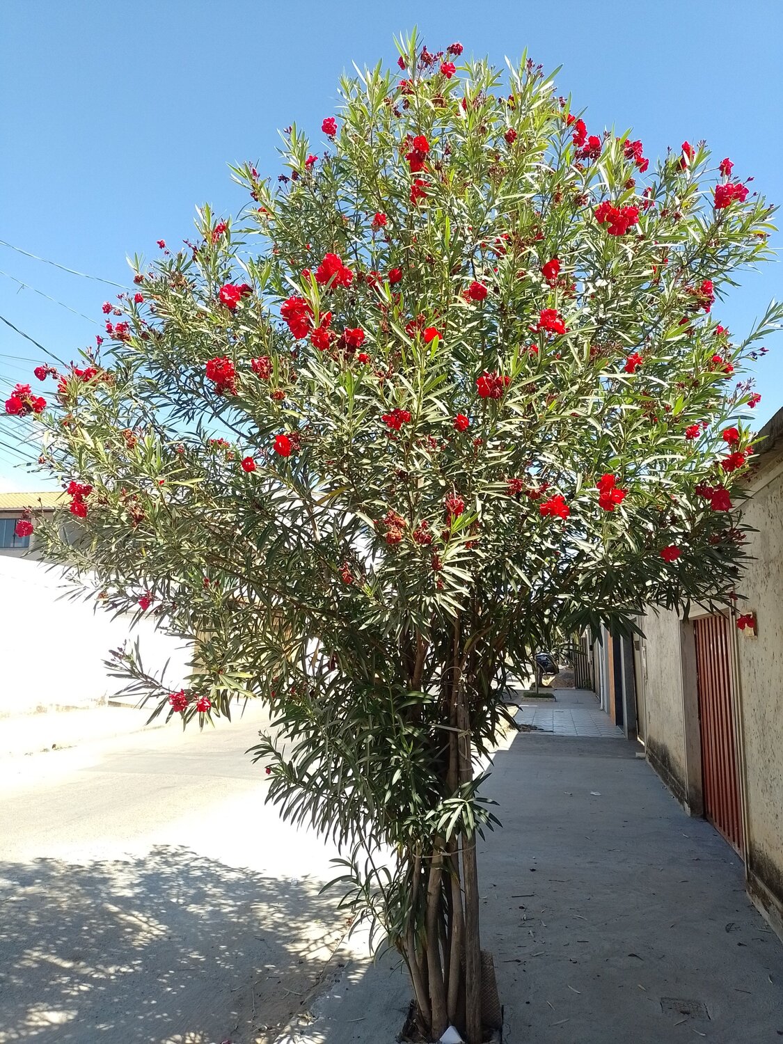 Photo #13843777