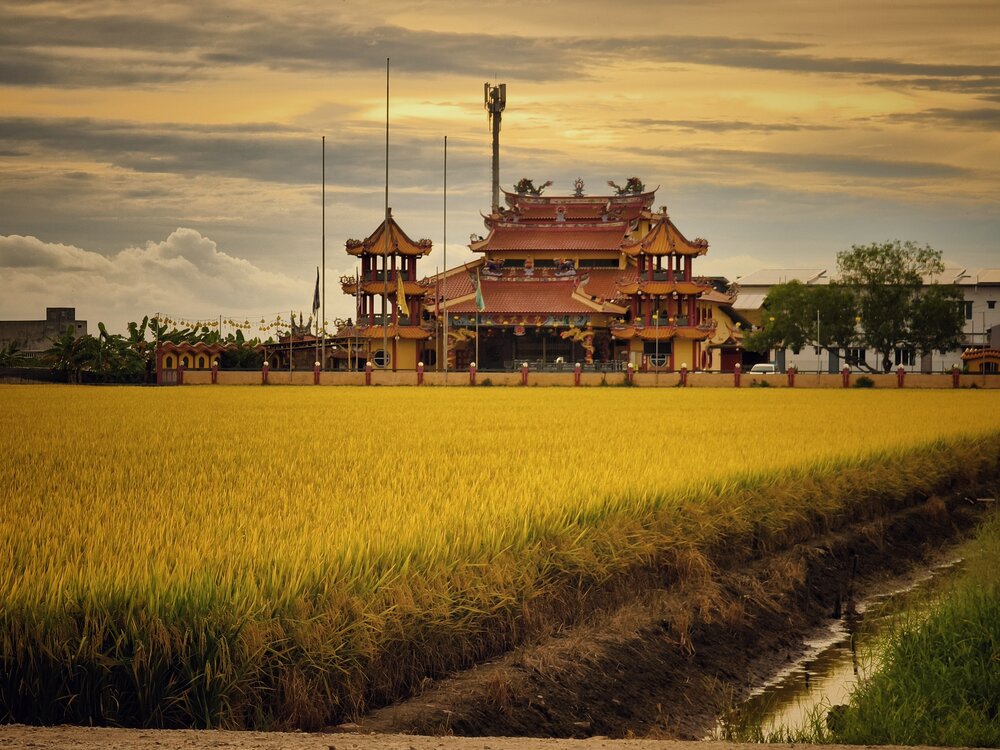 Photograph by Siew Chee chung