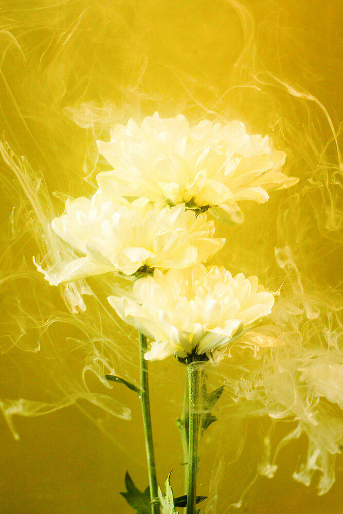 Photograph by Елизавета Курякова