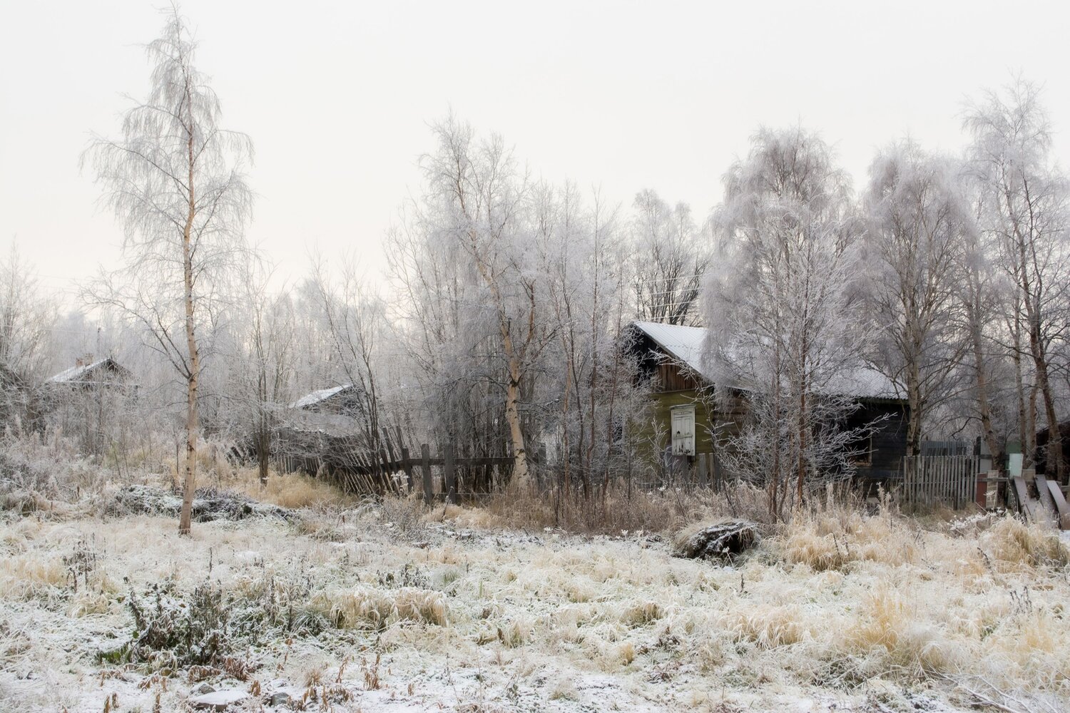Photo #13843946