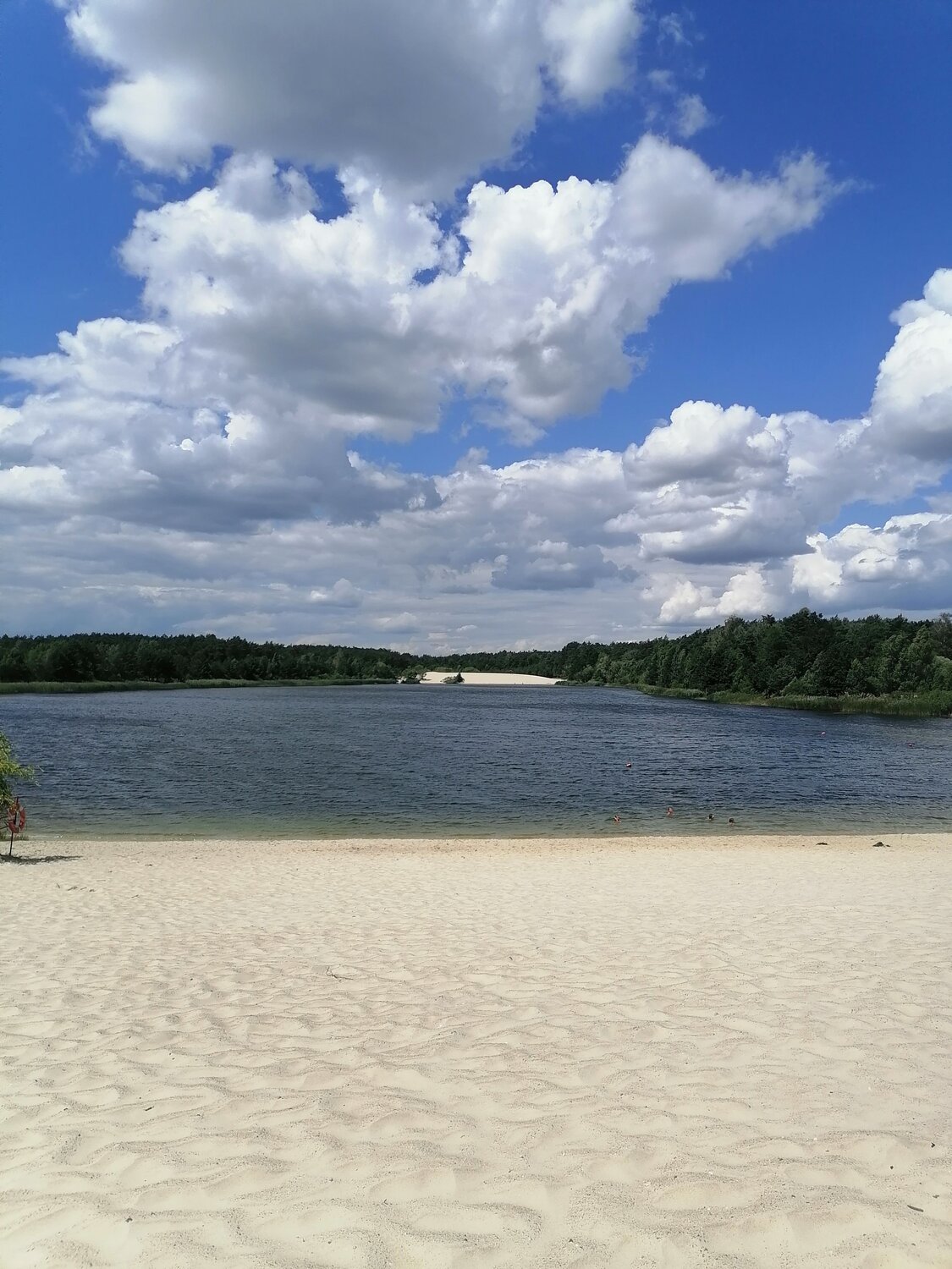Photo #13844019