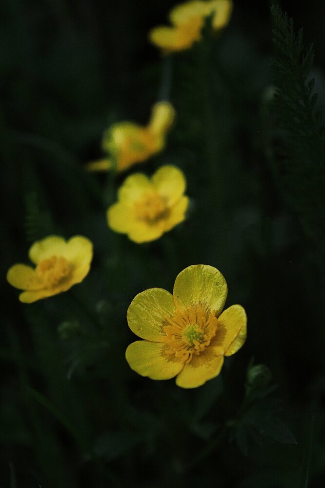 Photograph by Анна Захарчук