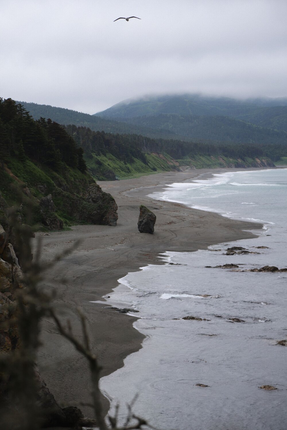 Photo #13844120