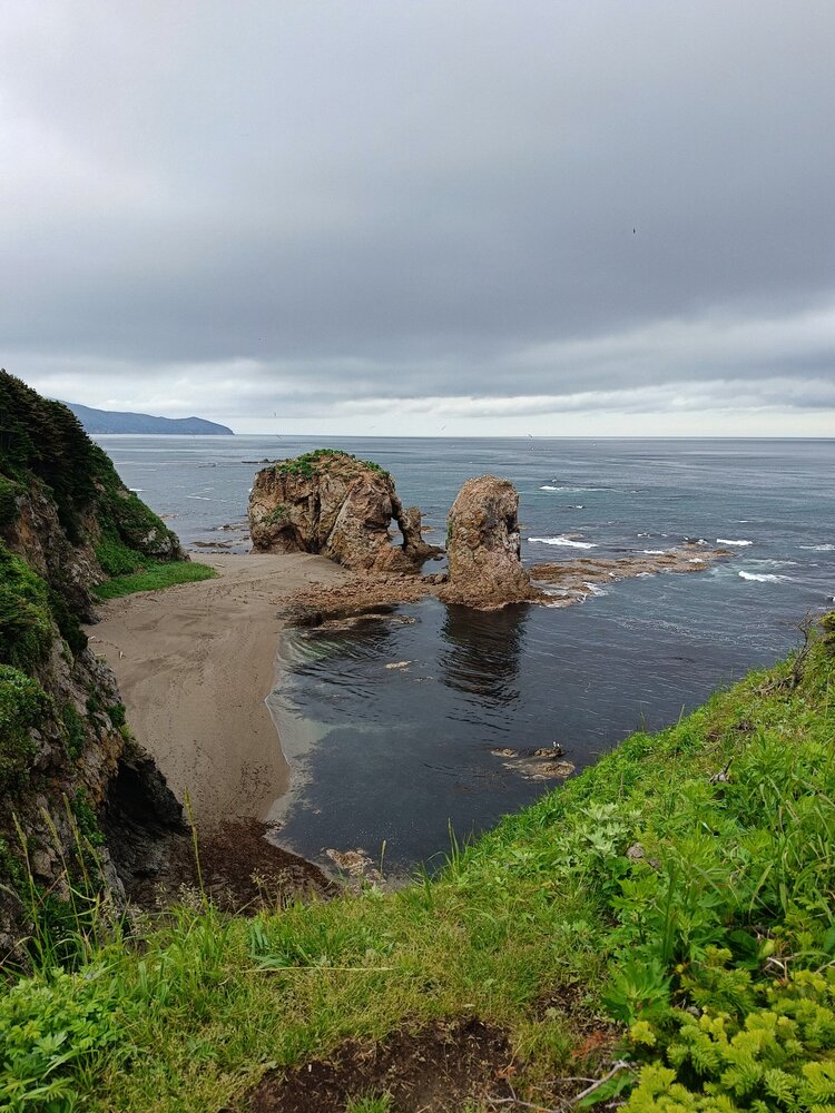 Photo #13844121