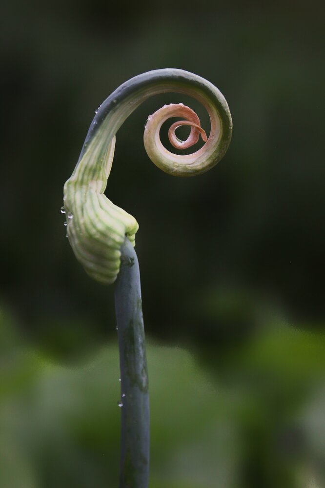 Photograph by Анна Захарчук