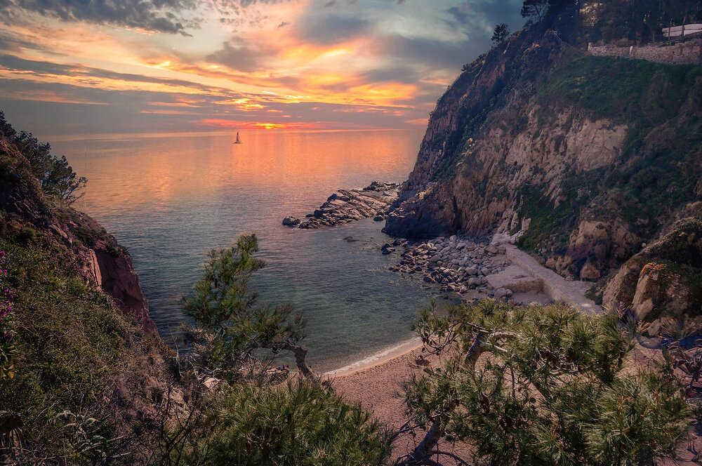 Фотография автора Алексей Козлов