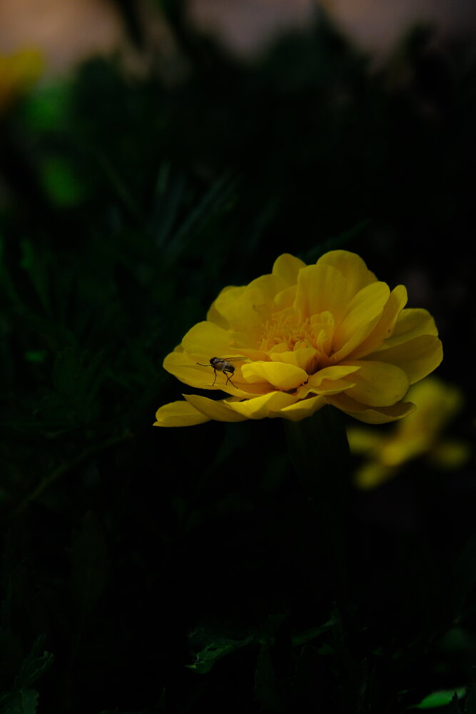 Photograph by Яна Истоцкая