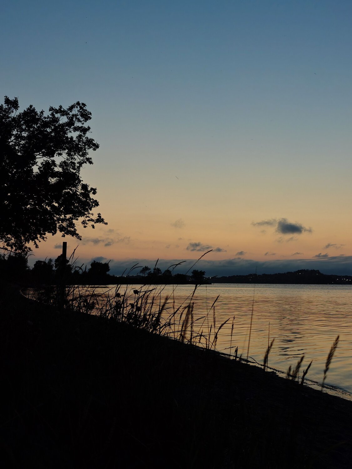 Photo #13844248