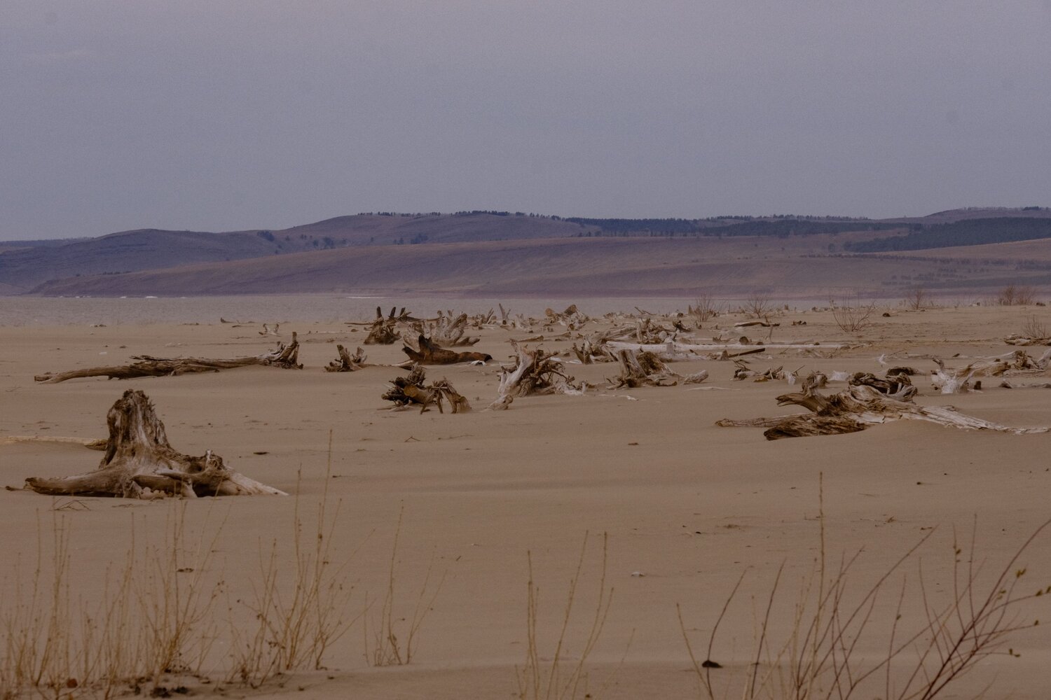 Photo #13844252