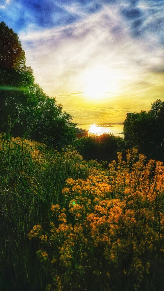 Photograph by Денис Сударчиков