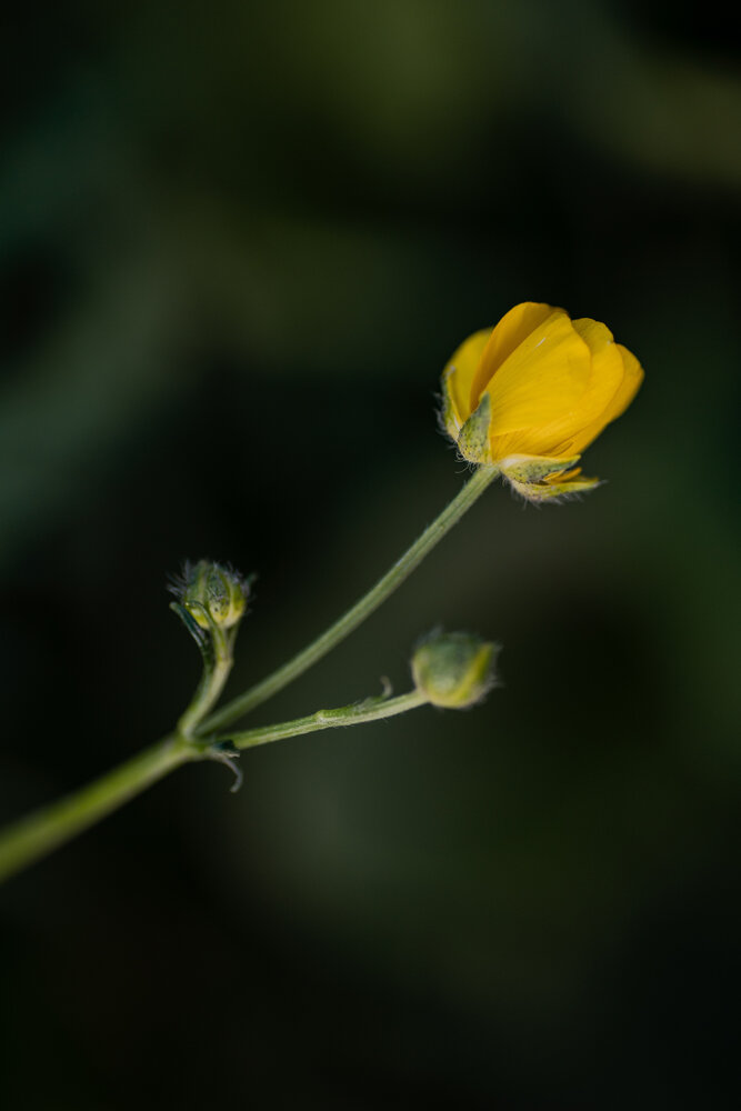 Photograph by Анна Бобкова