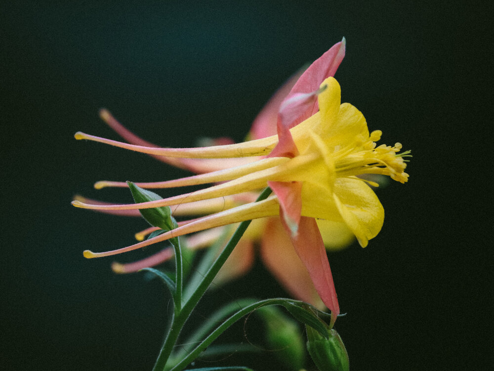 Photograph by Христина Сергейчик