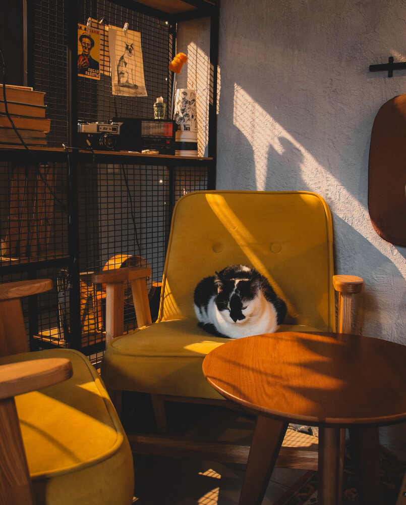 Photograph by Христина Сергейчик