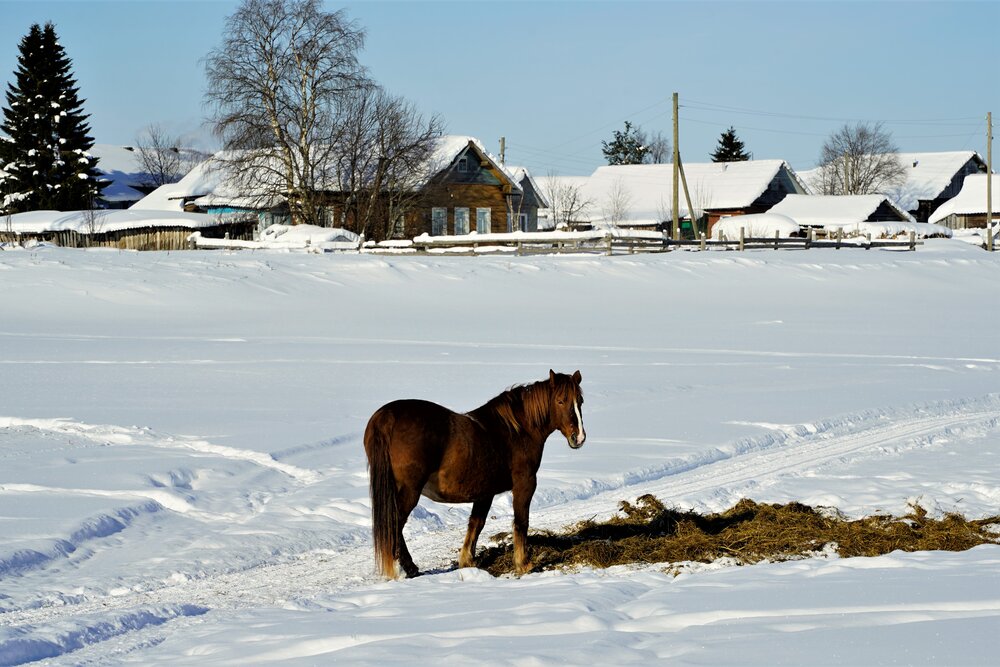 Photograph by Юлия Овчинникова