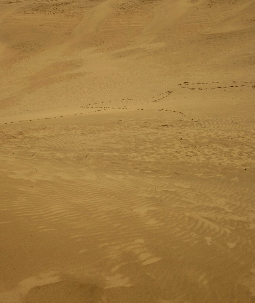Photograph by ТАТЬЯНА ЗАХАРОВА