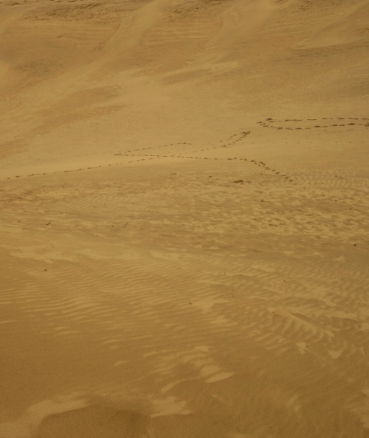 Photo #13844477